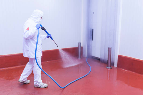 Best Soft Washing  in Indian Harbour Beach, FL